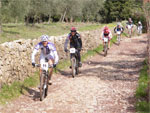 gal/2010/03 - La Via delle Miniere 2010/Al podere Quato/_thb_DSCF0715-01.jpg